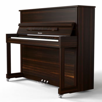 Ritmuller RP122 simulated ebony piano